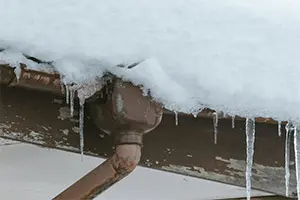 風や雪による被害