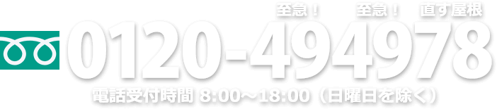 0120-494978 電話受付時間 8:00～18:00（日曜日を除く）
