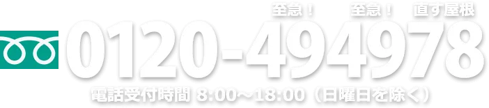 0120-494978 電話受付時間 8:00～18:00（日曜日を除く）