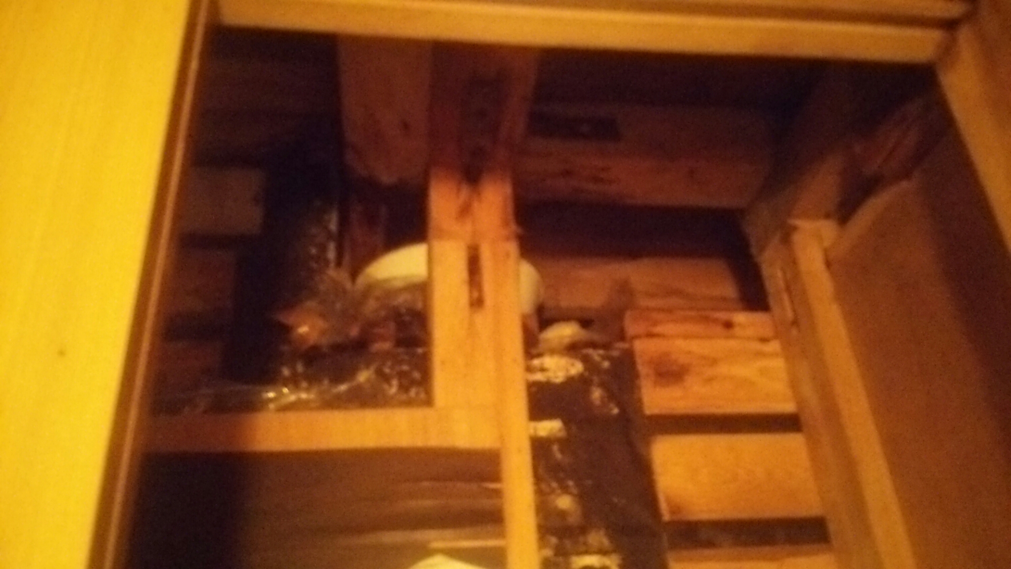 DSC_0159.JPG image