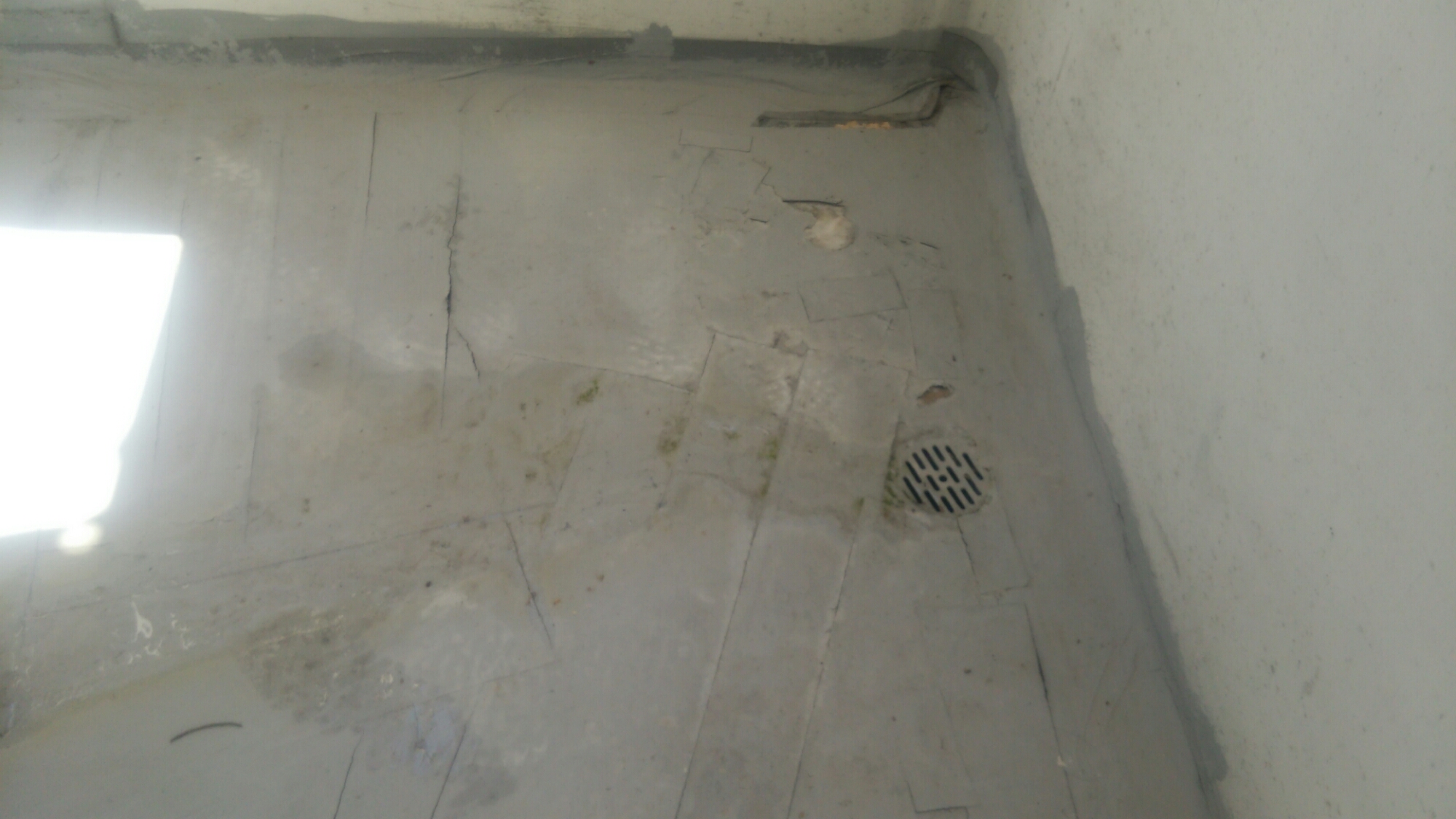 DSC_0165.JPG image