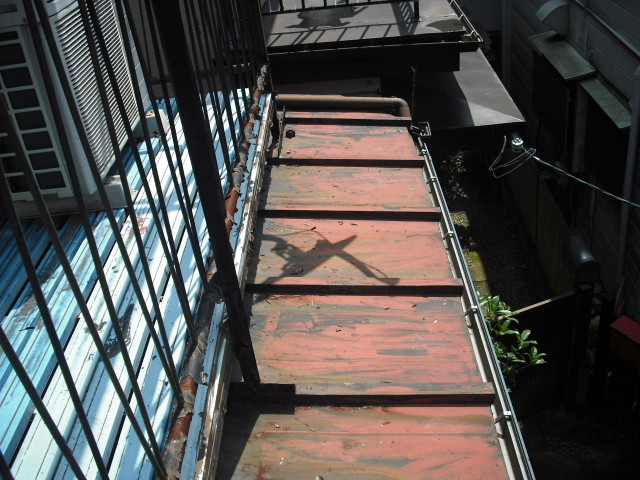 DSCF9169