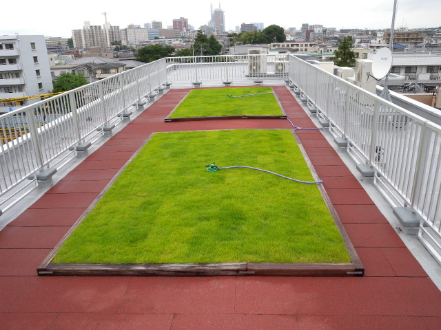 屋上緑化