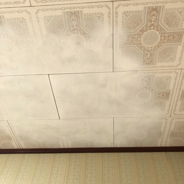 雨漏り保険適用外