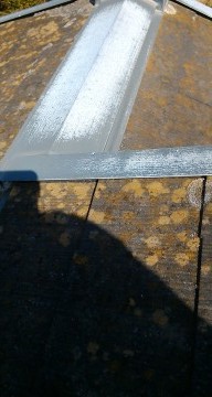 屋根のカビ及び劣化