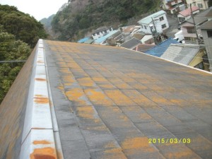 酸性雨　屋根メンテナンス