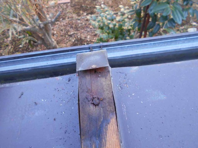 535_UNADJUSTEDNONRAW_thumb_e1