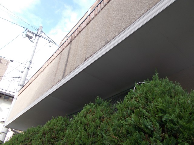梅雨前に ご自宅の健康診断 雨量調査を