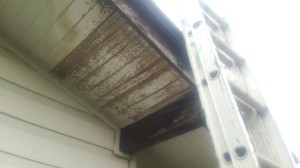 屋根傷み　雨漏り　塗装