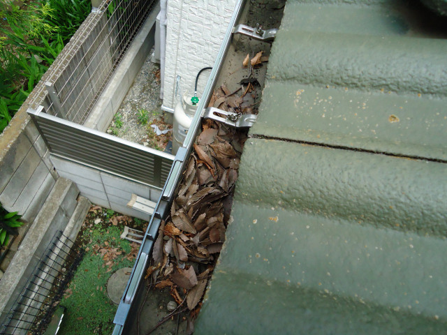 雨樋ゴミ