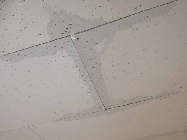 品川区 雨の後のしっとりした壁紙で