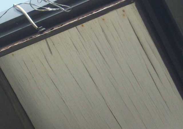 1260_UNADJUSTEDNONRAW_thumb_3e5