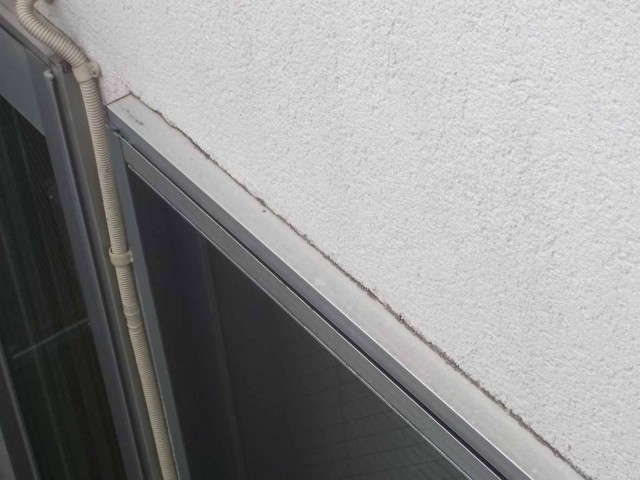 1350_DSCN2460