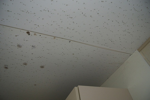 天井の湿気
