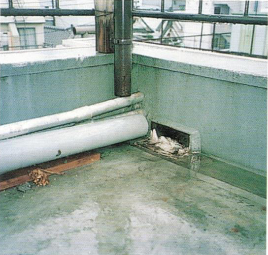 施工後の写真
