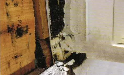 施工後の写真 