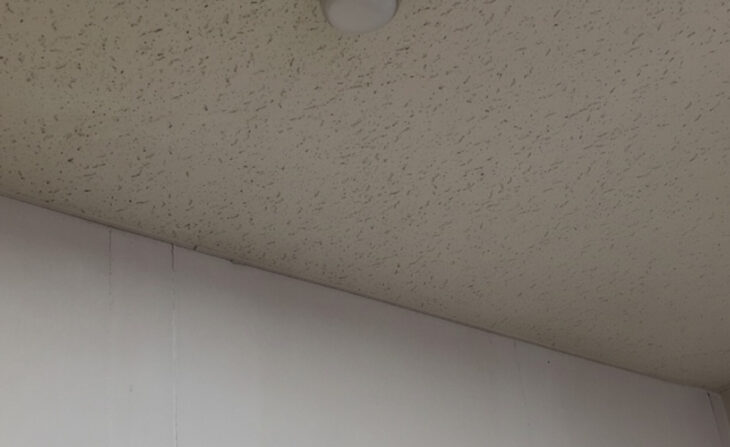 施工後の写真