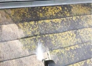 本格的に寒くなる前に屋根掃除でお家のメンテナンス