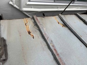 ［日頃から雨漏り点検を習慣に］＞狛江市