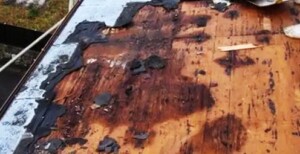 気づかない屋根からの雨漏りは防水シートまでも劣化させる危険性