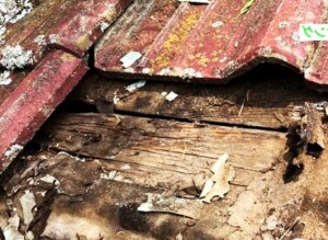 外観被害がないのに雨漏りだった事例