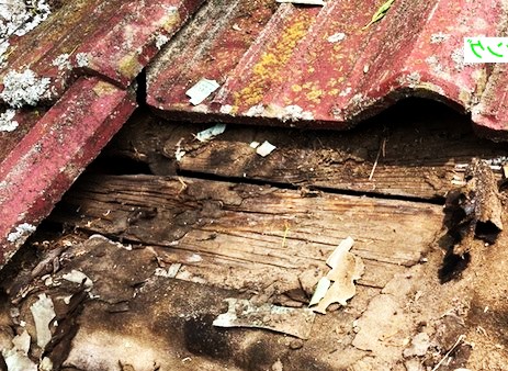 外観被害がないのに雨漏りだった事例