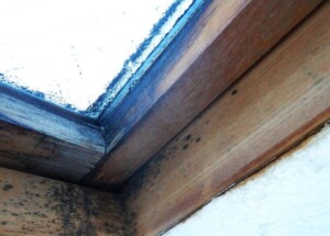 この時期気を付けたい天窓注意事項