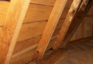 小屋裏を覗いてみるのも雨漏り防止に役立つ方法のひとつ