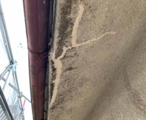 初めて聞いた軒天（のきてん）という部分が建物の維持に大きく関わっていました