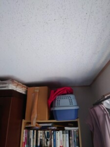 天井にできたシミが示す、階上のベランダ下部の防水劣化と修繕の必要性