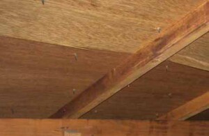 様々な気象や温度に耐えられるような屋根リフォーム対策