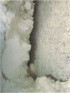 基礎断熱に潜むリスク：ウレタン吹付の剥離と隙間が招くカビ・結露被害