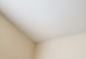 マンションの天井カビを撃退！断熱工事の盲点と「見えない場所」の重要性
