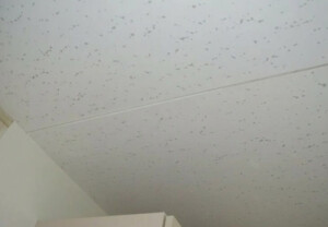 押し入れのカビは給水管の結露が原因？2階建て住宅の防露措置による補修事例