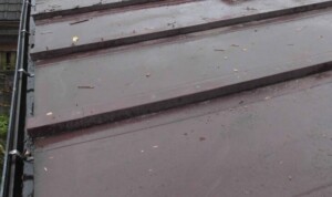 塗装したばかりなのに雨漏りが発生！塗装では直らない修繕との違いは？