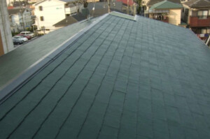 屋根塗装で住まいの悩みを解決！経年劣化から施工完了までの完全ドキュメント