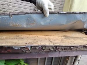 業者は混んでいるかも？それでもDIYではなく専門業者への依頼をおすすめ